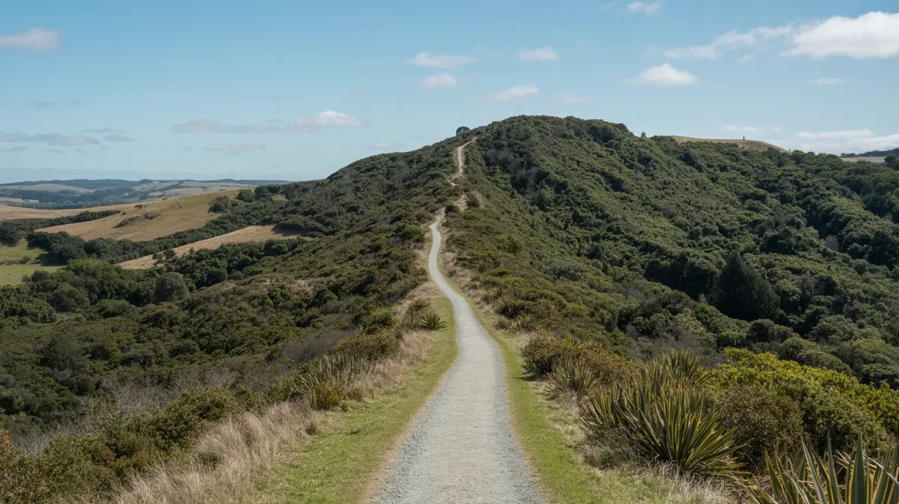 Stunning photograph taken of the Kahikatea Loop Track walk in Warkworth, New Zealand on a bright sunny day.