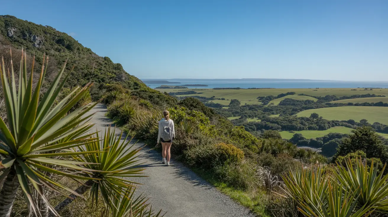 Stunning photograph taken of the Kererū Loop Walk in Waitawa Regional Park walk in Clevedon, New Zealand on a bright sunny day.
