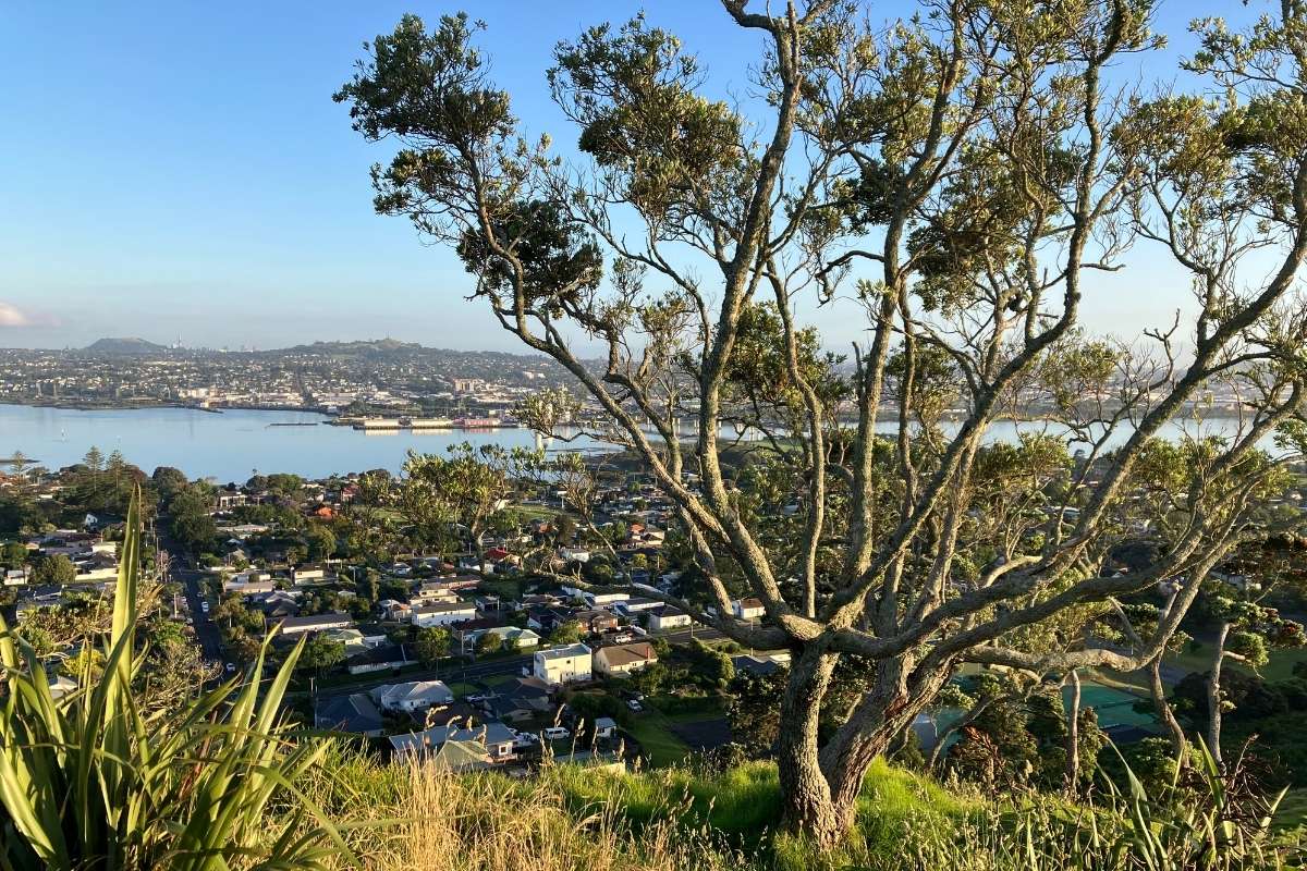 Mangere Mountain Loop Walk in Auckland