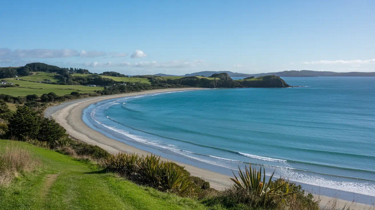 Stunning photograph taken of the Martins Bay Coastal Walk in Mahurangi, New Zealand on a bright sunny day.