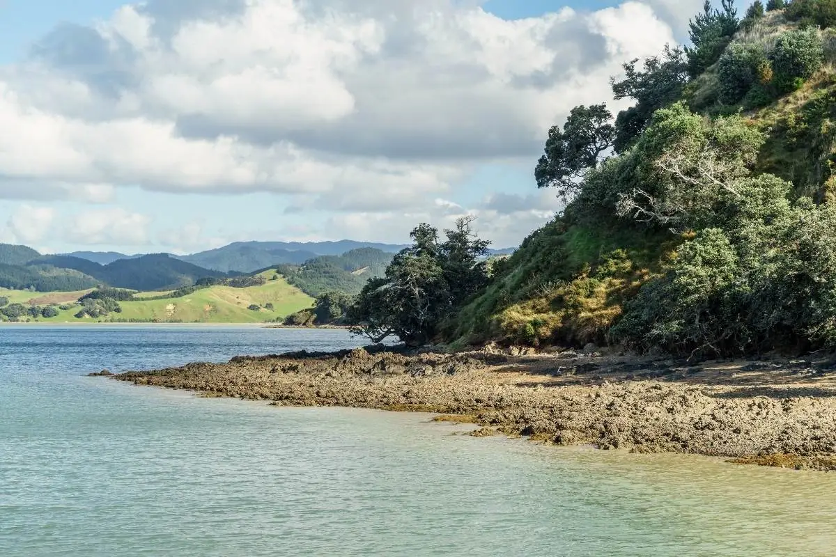 Pūweto Loop Walk in Waitawa Regional Park