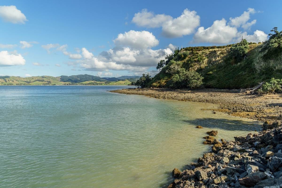Coastal Loop (or Pāwhetau Pā Track) in Waitawa Regional Park