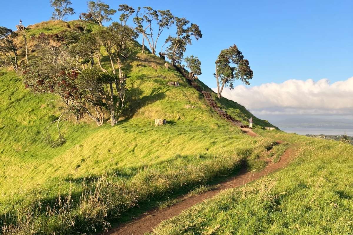 Mangere Mountain Loop Walk in Auckland