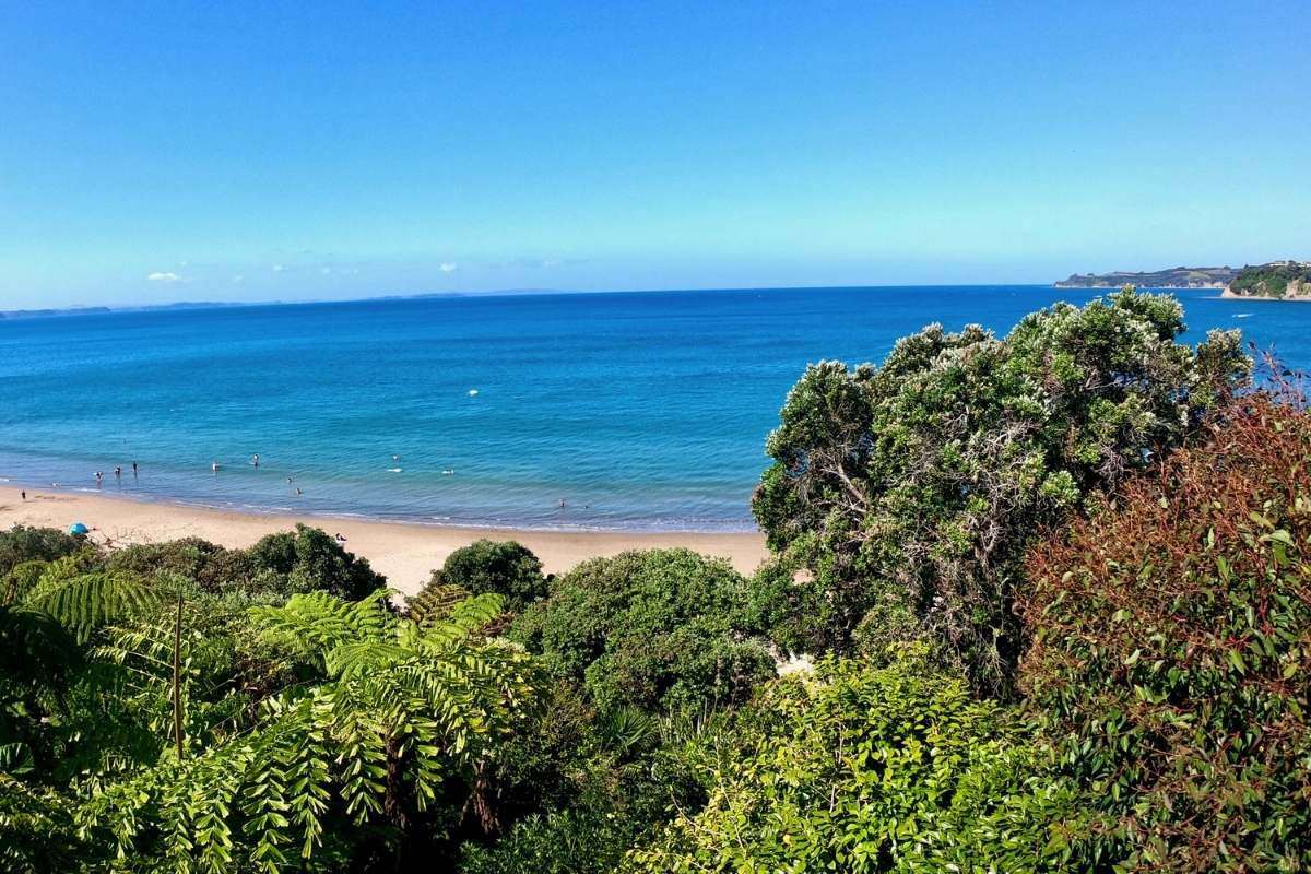 Te Ārai Point Coastal Track