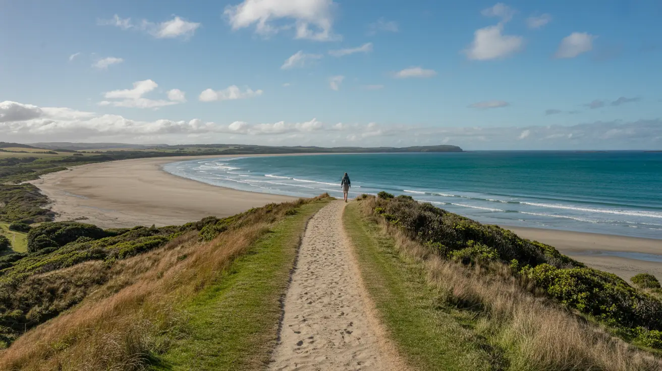 Stunning photograph taken of the Eastern Beaches Track walk in Motuihe Island, New Zealand on a bright sunny day. No added text or words on image.