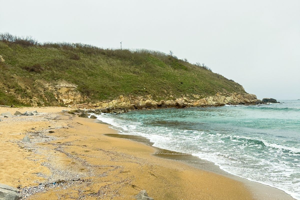 Tieke Track Motuihe Island