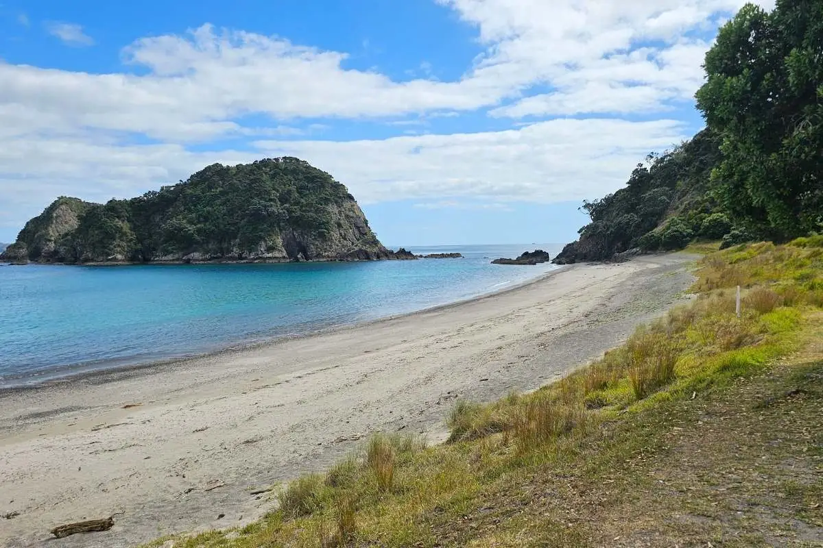 Sandy beach with distinctive forested offshore island in turquoise water