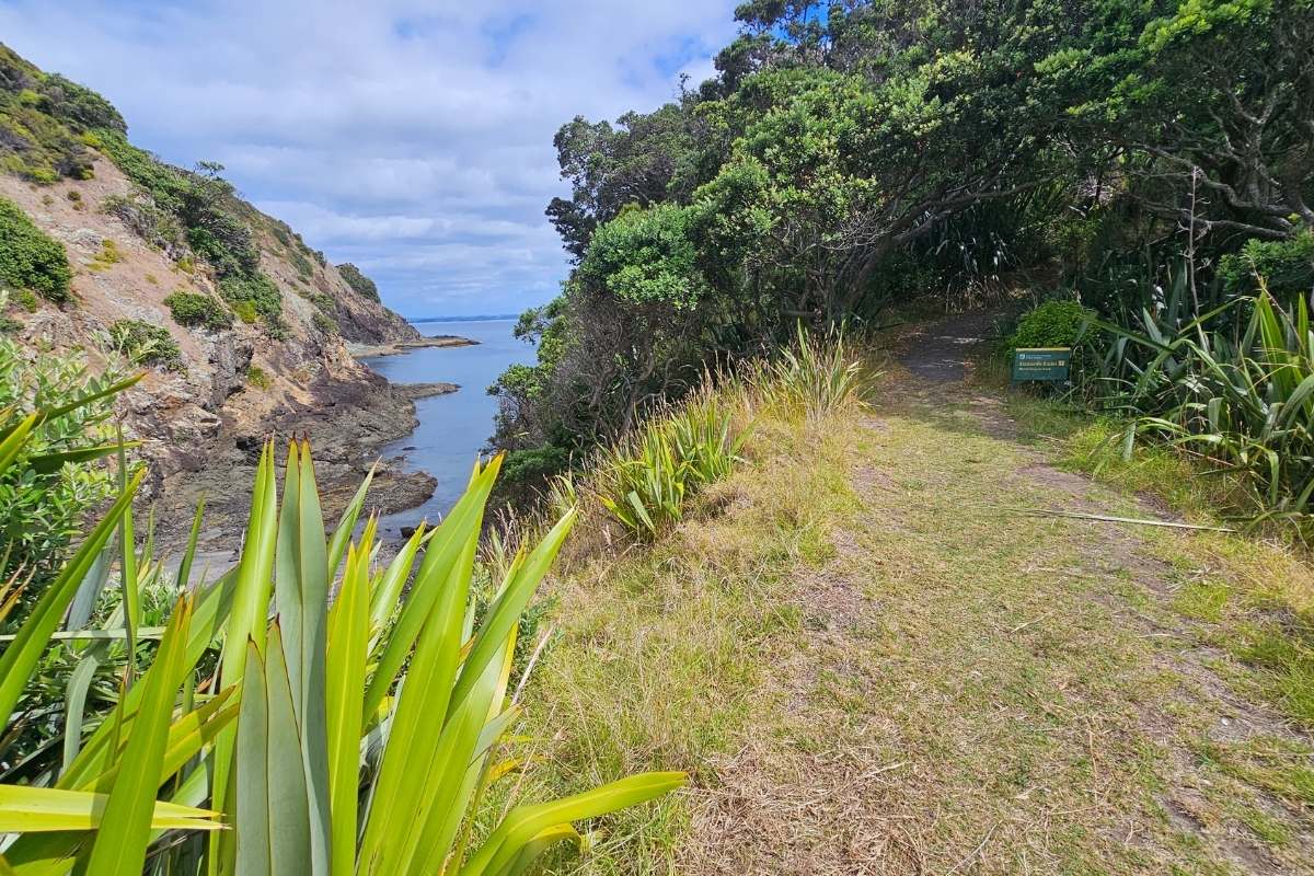 Grassy walking track along coastal headland with rocky cliffs and
ocean views