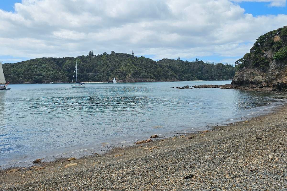 Sailboats and yachts anchored in calm bay with forested islands