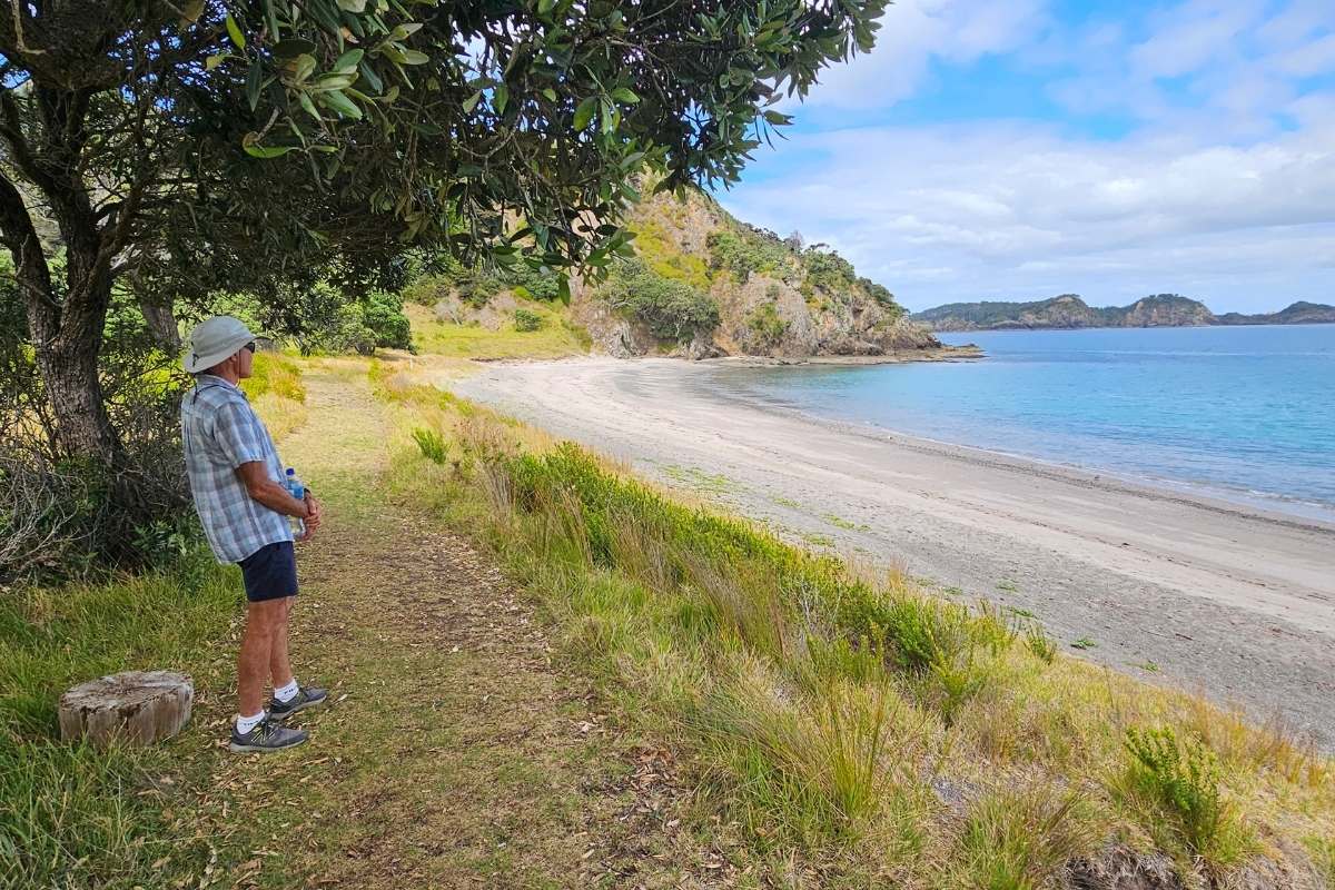 Walker on grassy coastal track beside beach with offshore islands