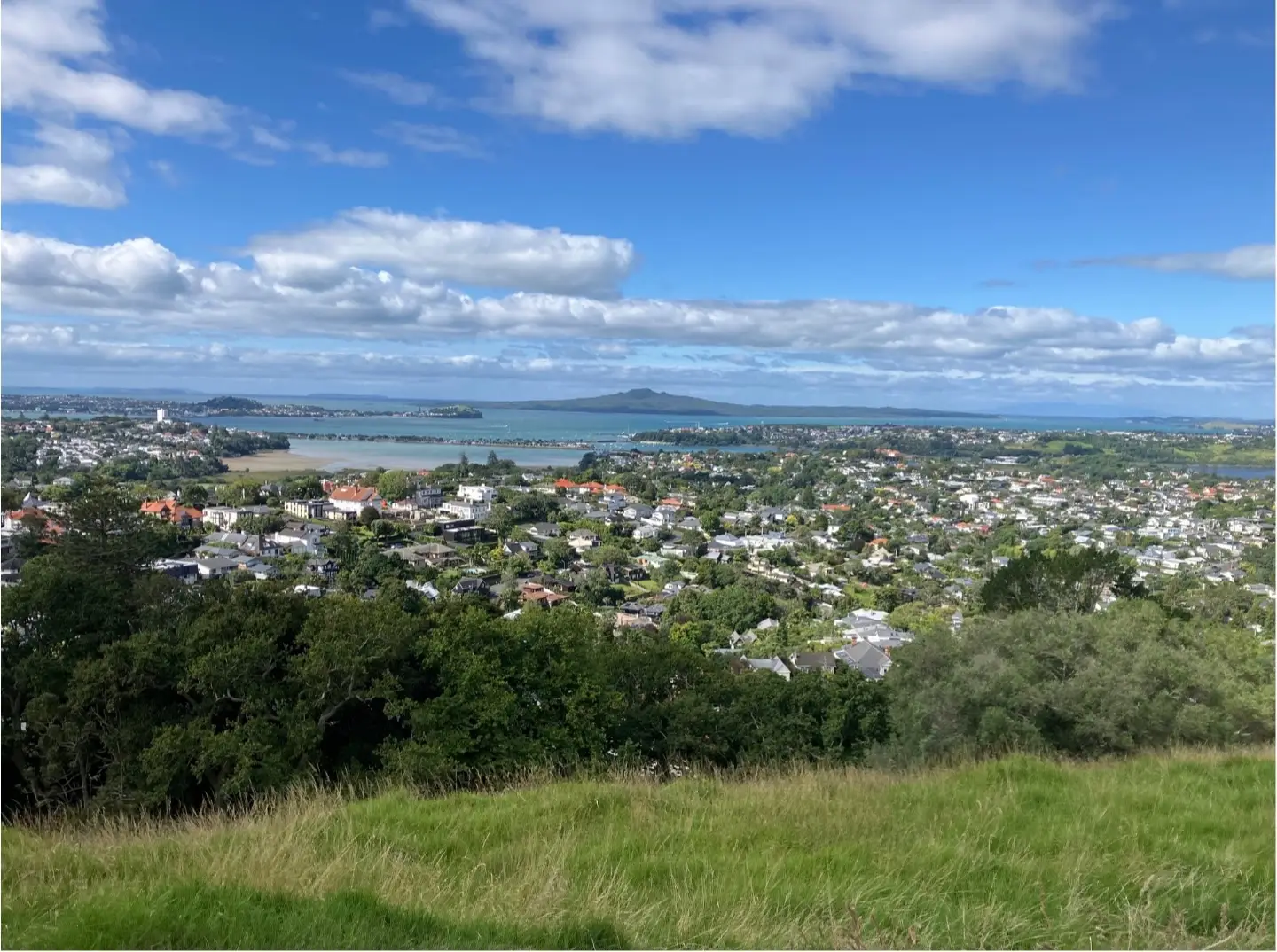Panoramic view from Mt Hobson summit showing Auckland harbour, Rangitoto Island, and North Shore suburbs with golden grass in foreground