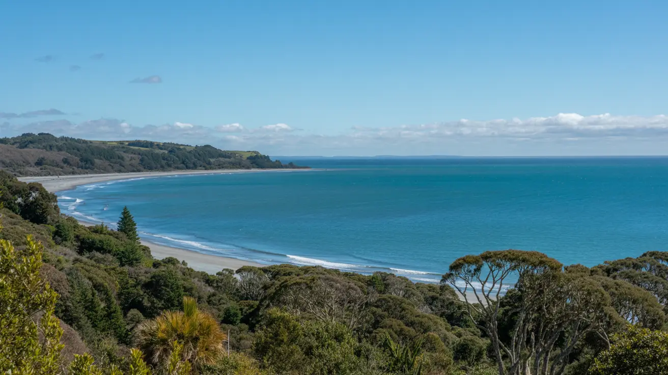 Stunning photograph taken of the Awaruku Bush Reserve Walk in Torbay, New Zealand on a bright sunny day.