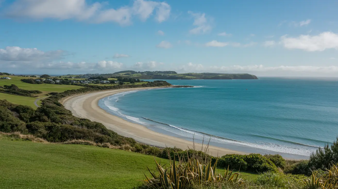 Stunning photograph taken of the North Shore Coastal Walk in Long Bay to Devonport, New Zealand on a bright sunny day.