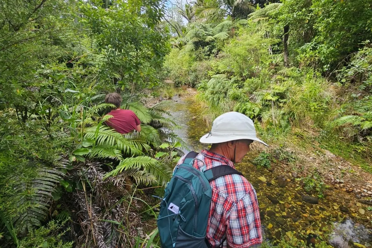 Alan and Steve at stream crossing on Kiwiriki Track Great Barrier Island