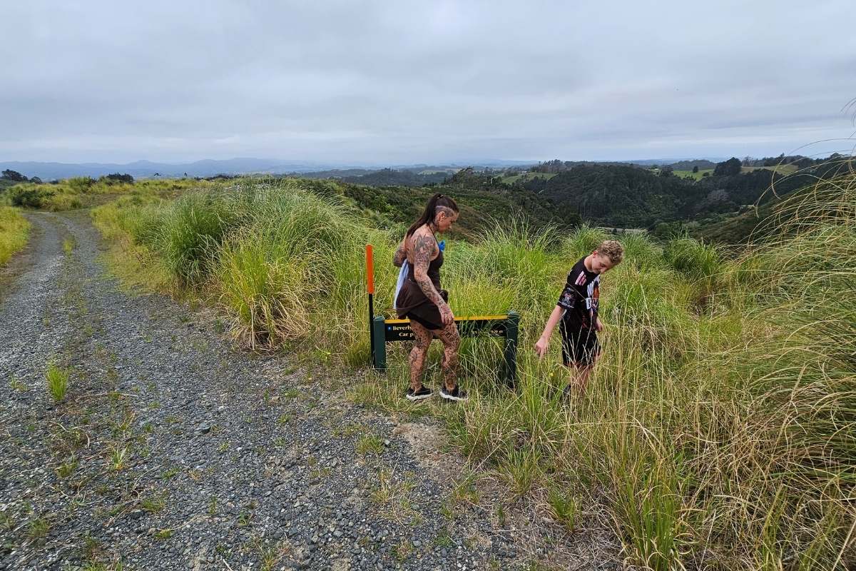Orange DOC track marker on gravel forestry road at top of Beverley Price Loop Track with countryside views over Pohuehue Reserve