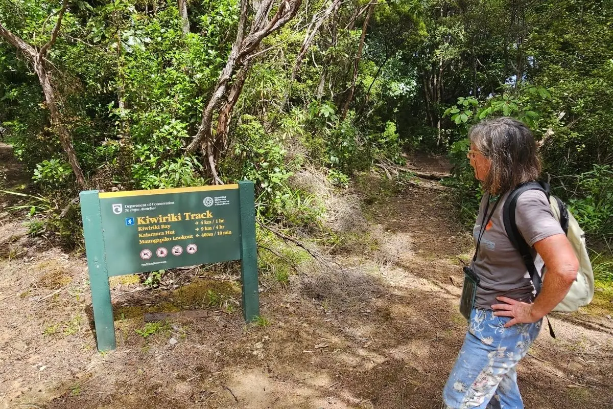 DOC Kiwiriki Track sign at junction Great Barrier Island