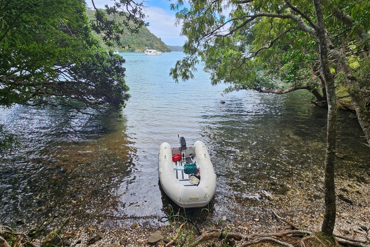 Dinghy pulled up on shore at Kiwiriki Bay Great Barrier Island