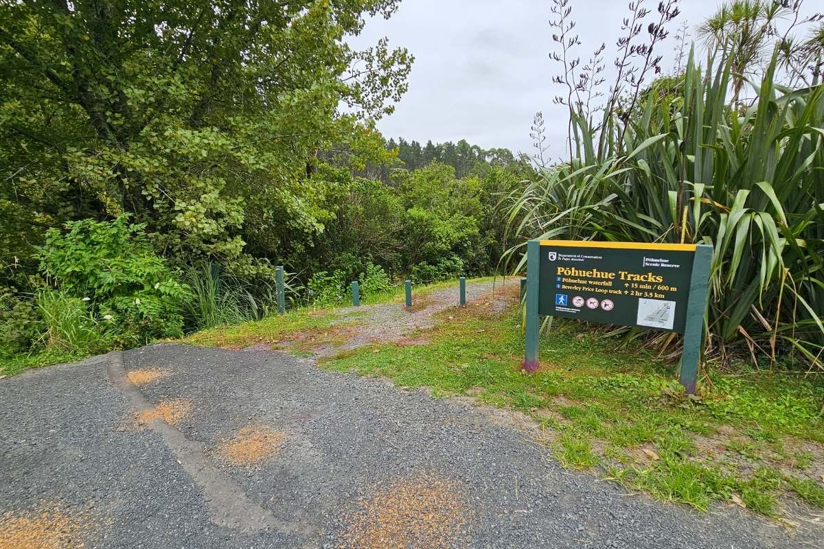 Pohuehue Tracks DOC information sign at car park showing Beverley Price Loop Track and Waterfall Track route map