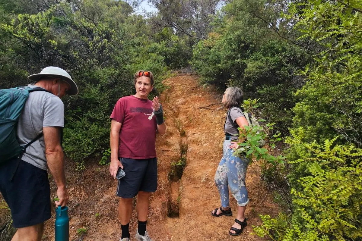 Steep eroded clay section on Kiwiriki Track Great Barrier Island