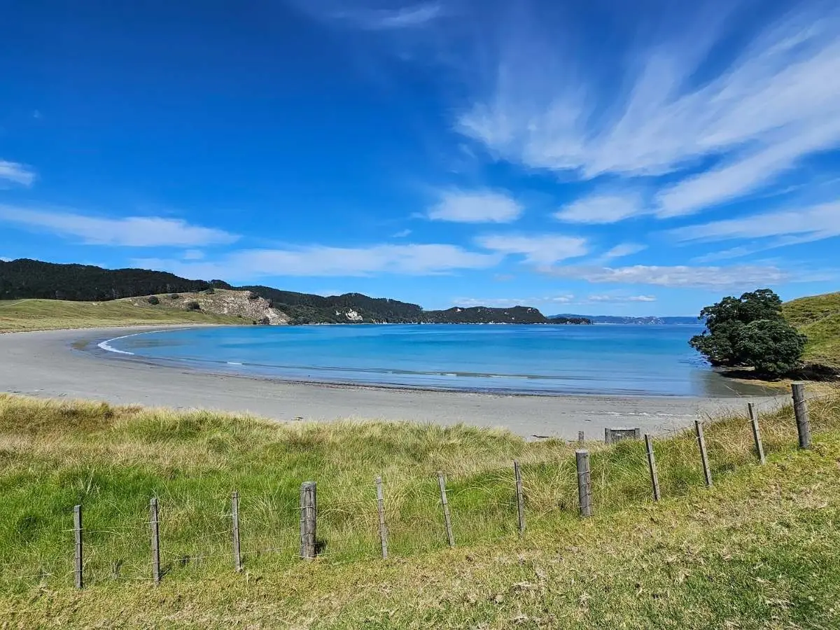 The farm track runs along behind Parapara Bay. This is where the walk starts properly once you're off the beach.