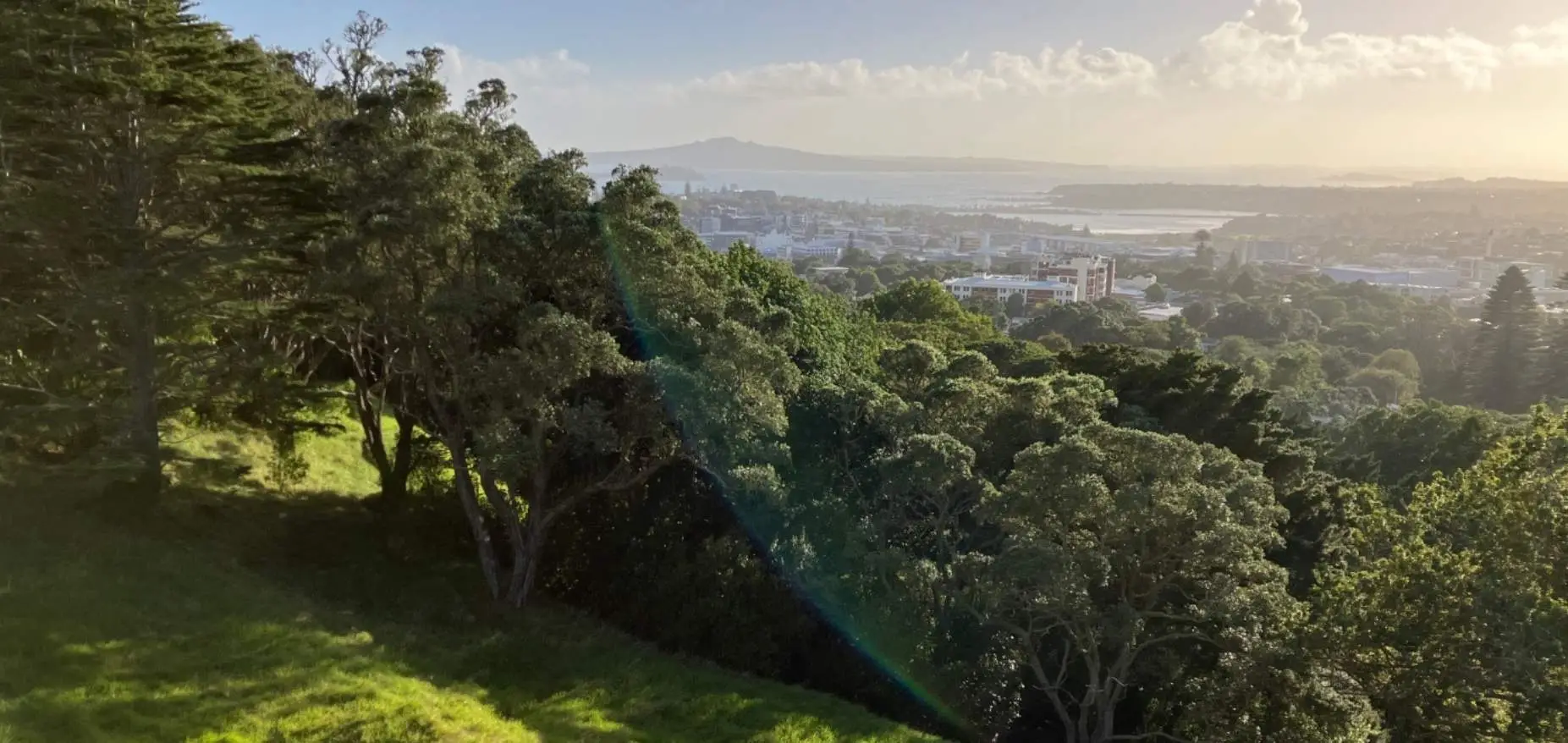View from Mt Eden crater rim showing Auckland city skyline, harbour, Rangitoto Island, and native bush trees in foreground under blue sky with sun flare