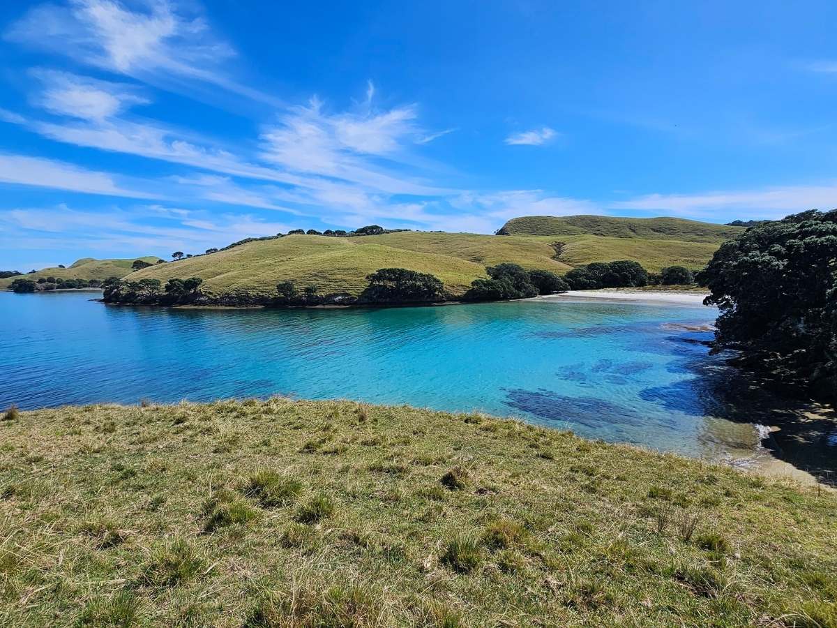 Parapara Bay, where we came ashore by dinghy. Walk up onto the headland for this view back over the bay.