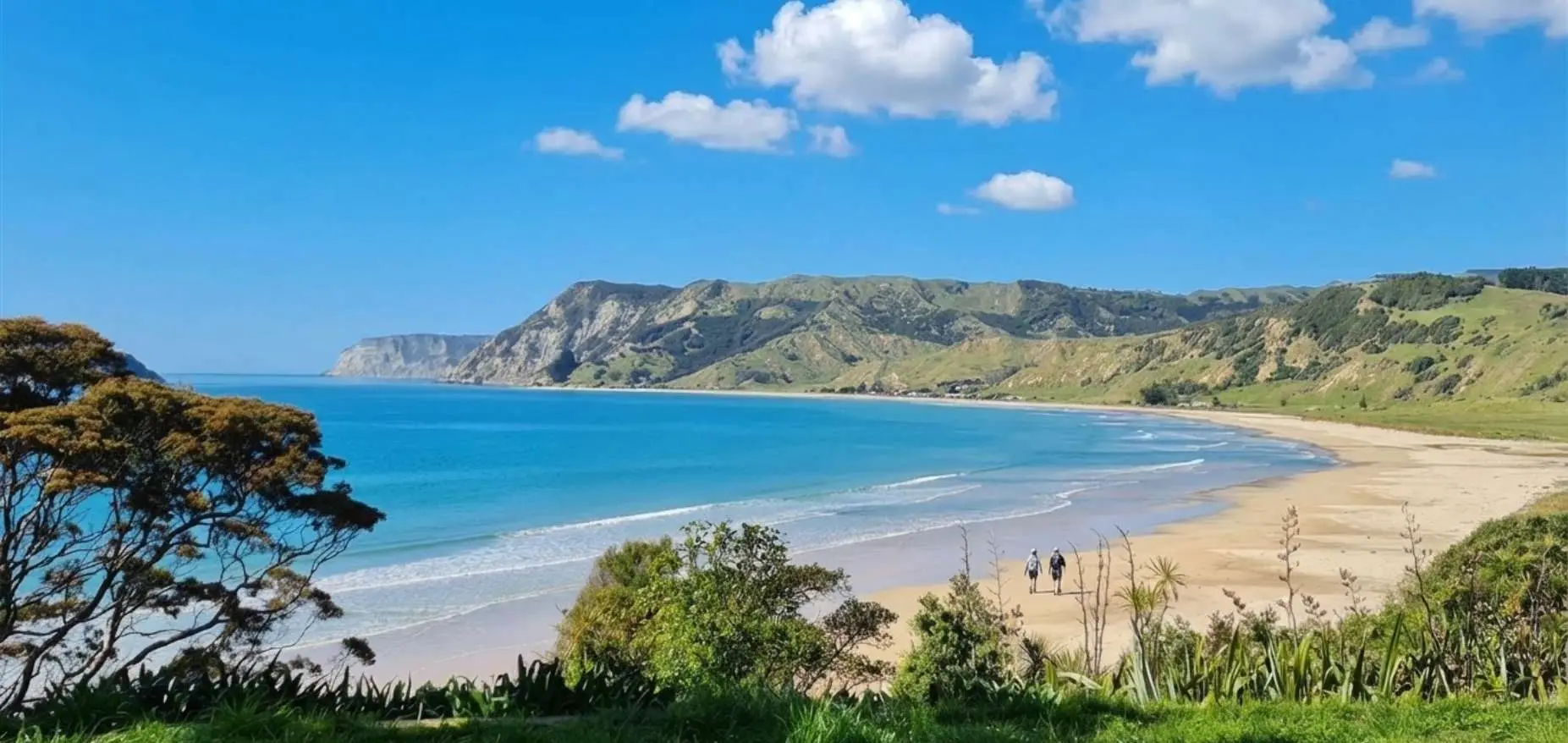 Anaura Bay Walkway, Gisborne