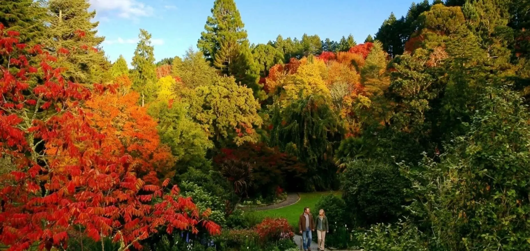 Eastwoodhill Arboretum Walks, Gisborne