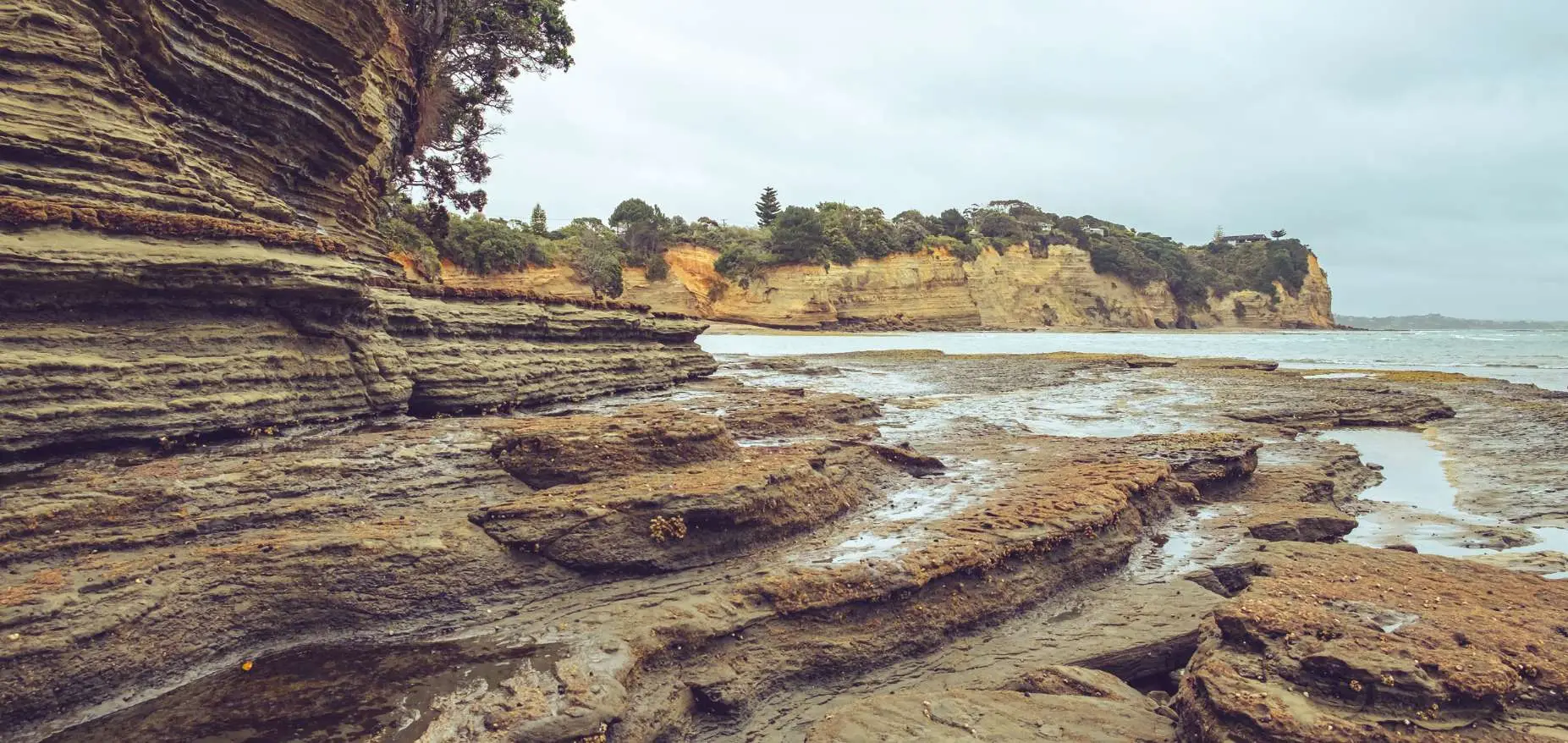 Fishermans Rock Whangaparaoa
