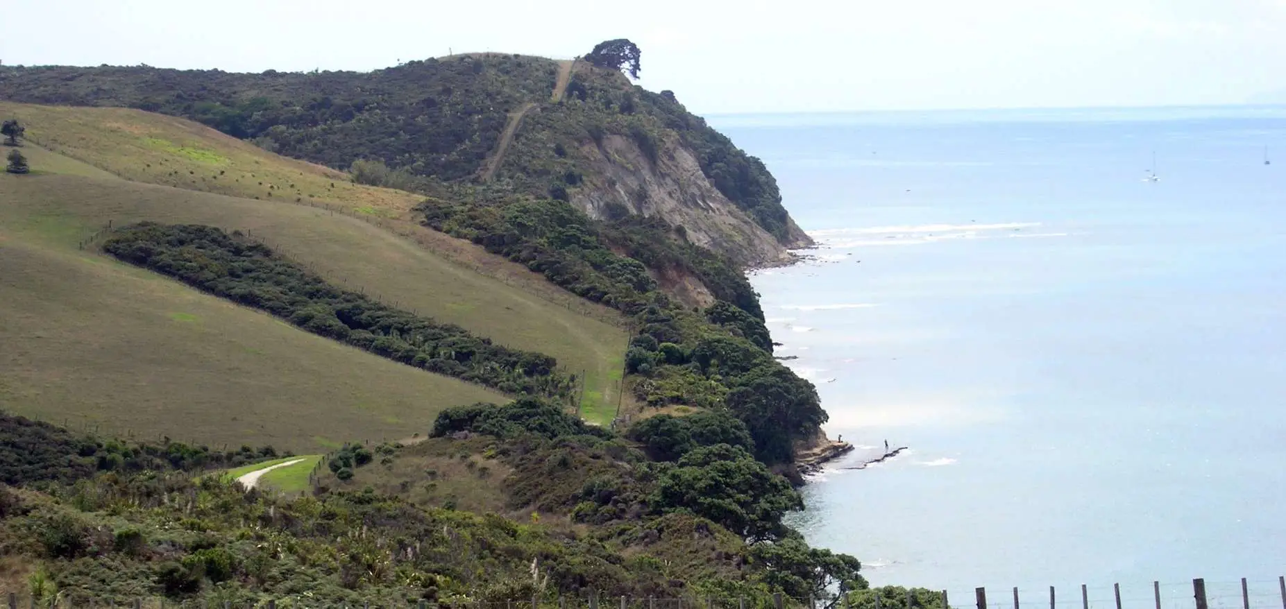 Gulf Harbour Coast to Coast Walk in Whangaparaoa