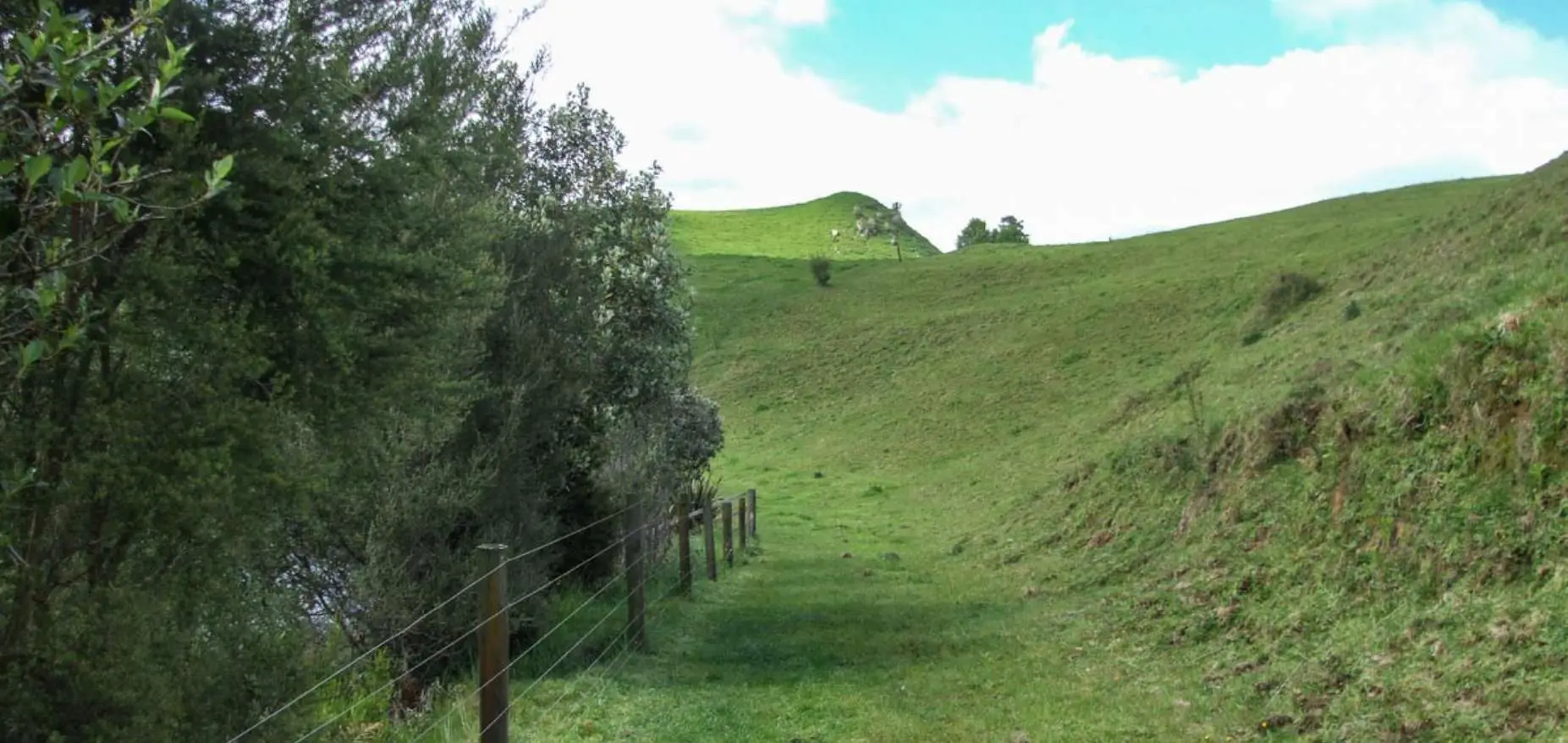 Jim Barnett Reserve in Putaruru