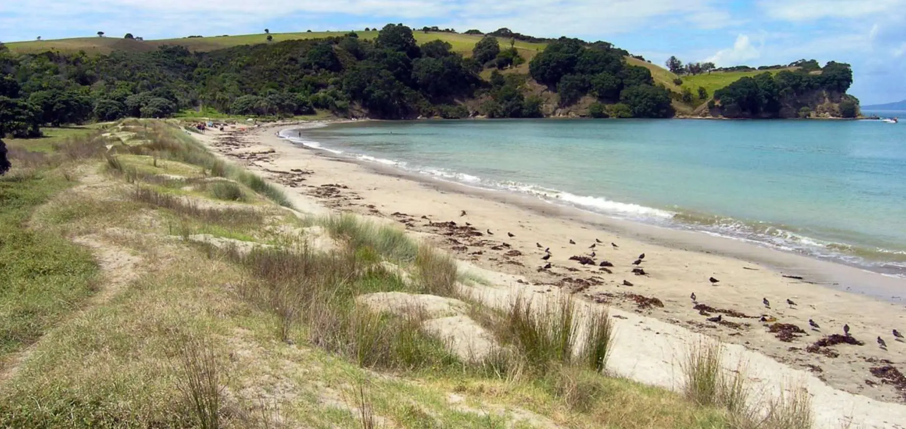 Shakespear Regional Park Whangaparaoa