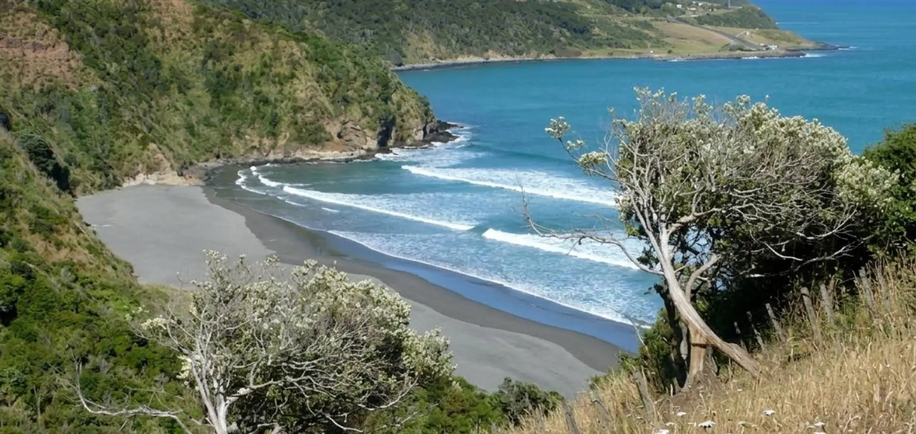 Wainui Reserve Bush Park Raglan