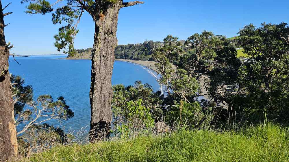 View over Martins Bay from the lookout side path