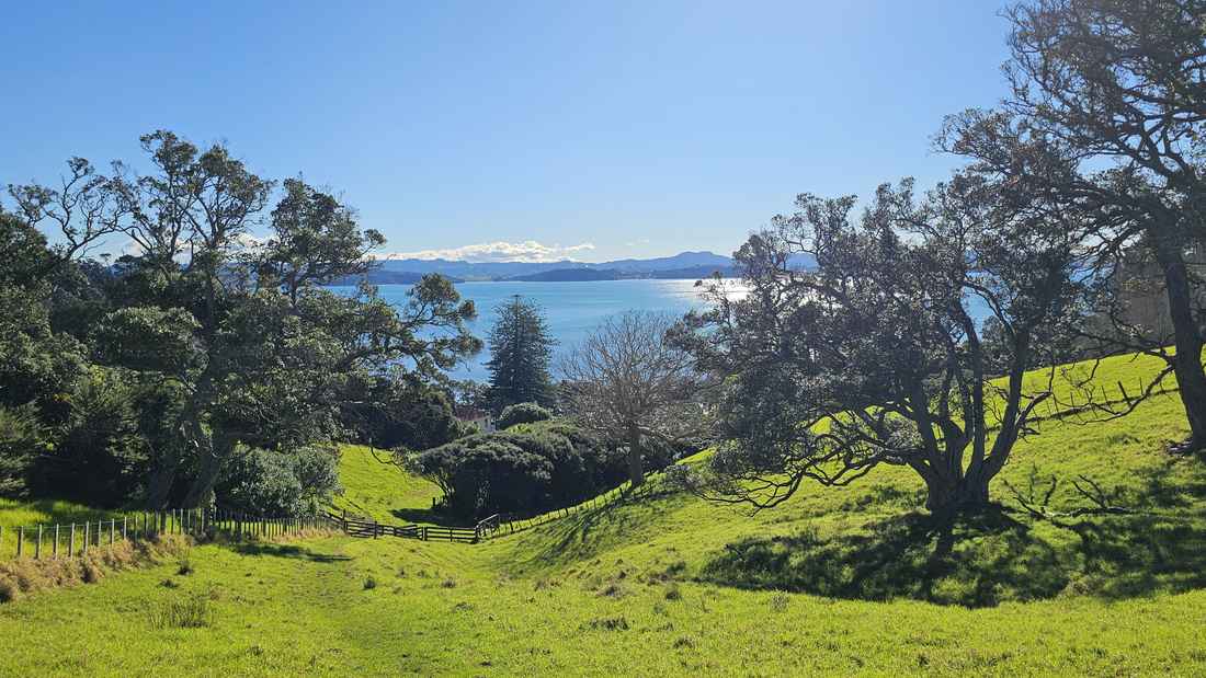 Pasture and pohutukawa with sea views on the loop