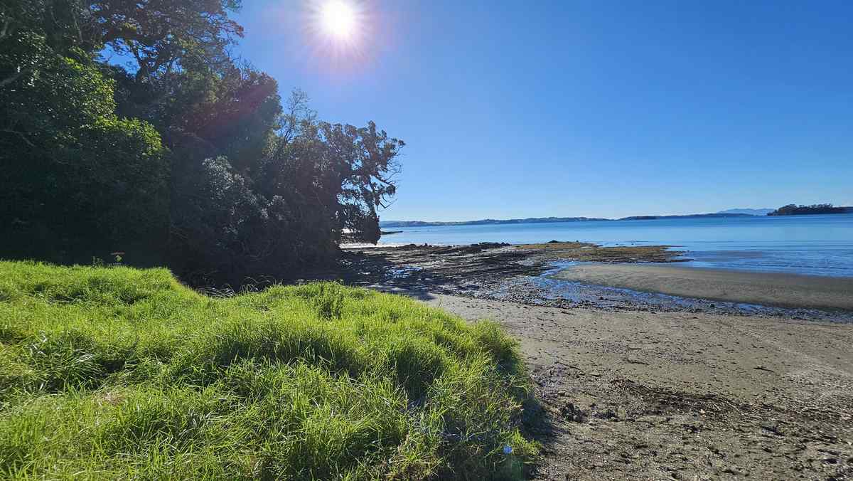 Scandretts Bay foreshore at low tide