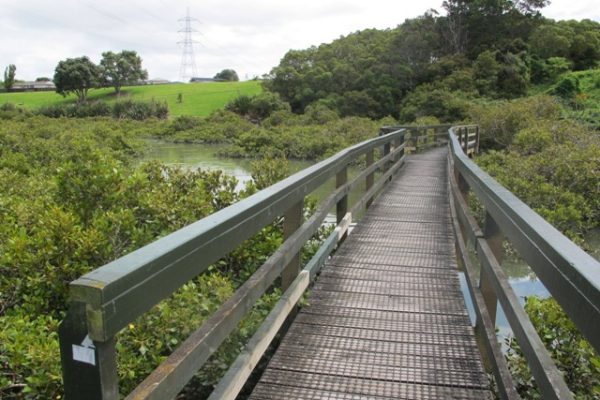 Avondale Whau River Path Walk