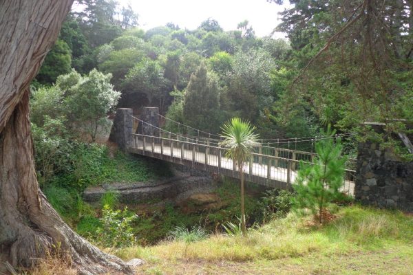 Bridge Botany to Cascades Loop Walk