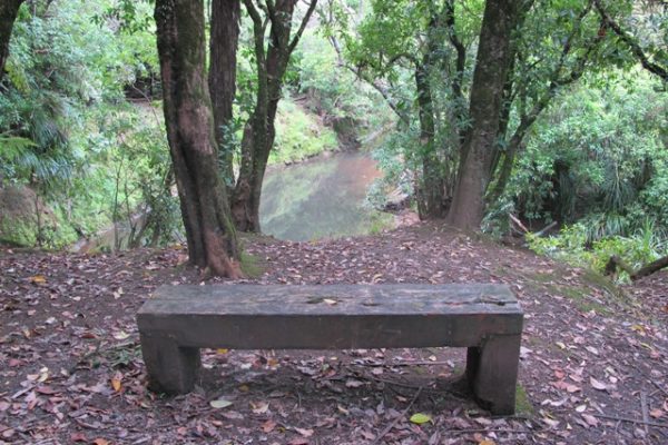 Bench Henderson Opanuku Stream Circuit