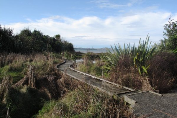 Te atatu Peninsula Walk path