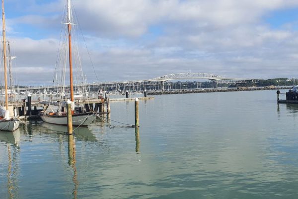 View of the Auckland Harbour bridge from the Wynyard Quarter