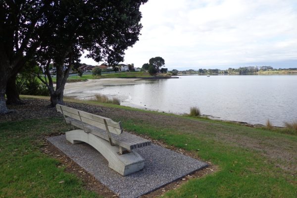 Bench at Wattle Downs Walkway